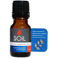 Soil Peppermint Essential Oil